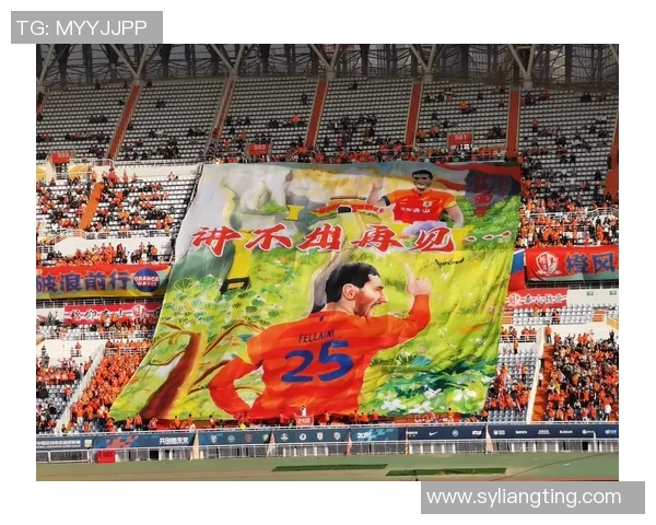 球场传奇：一位足球明星的奋斗与荣耀之路